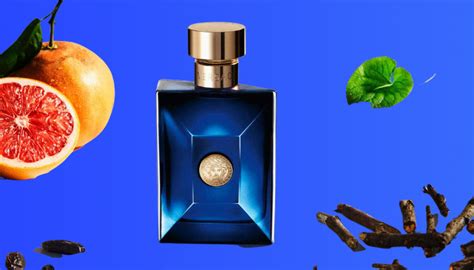 Top 5 Colognes That Smells Like Versace Dylan Blue [In 2024]